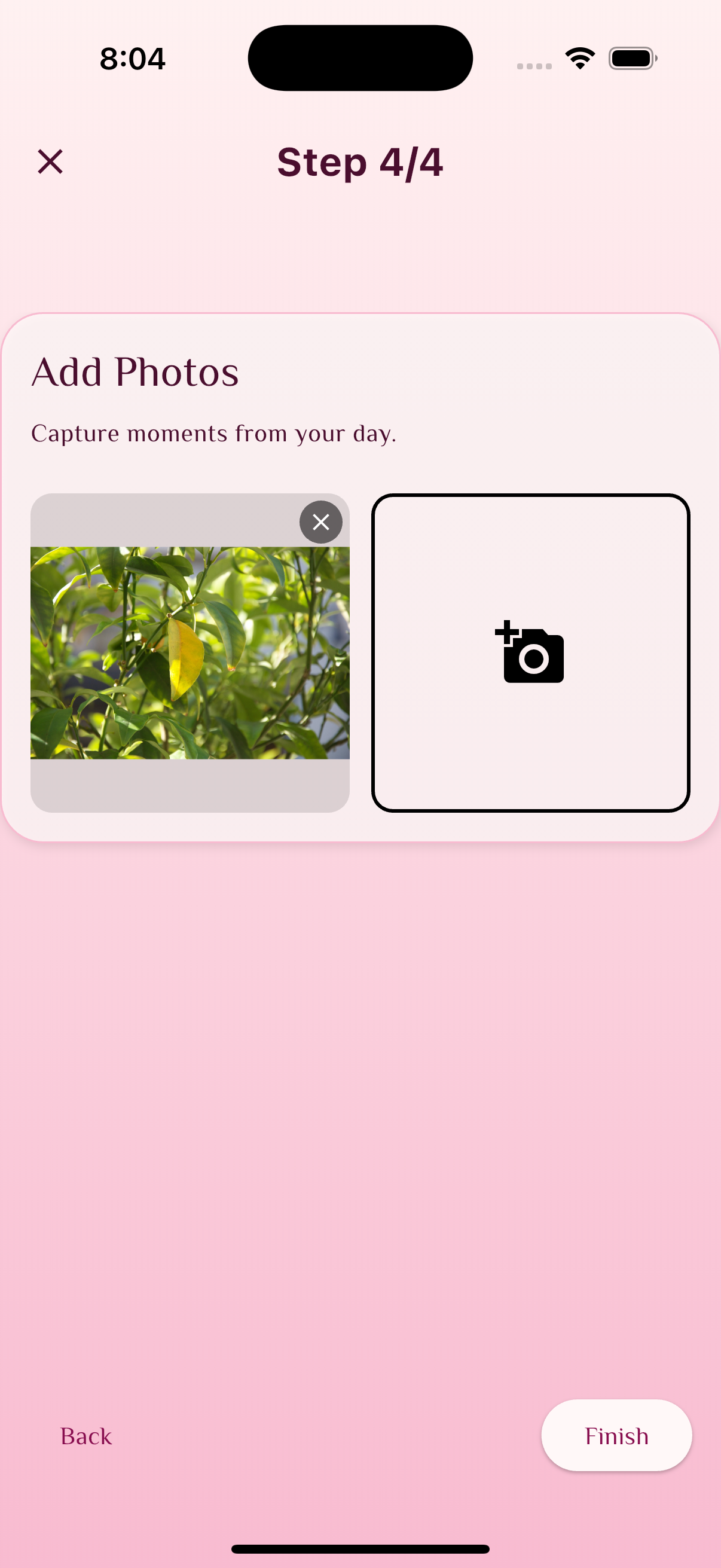 Screenshot 4 of Diary Play