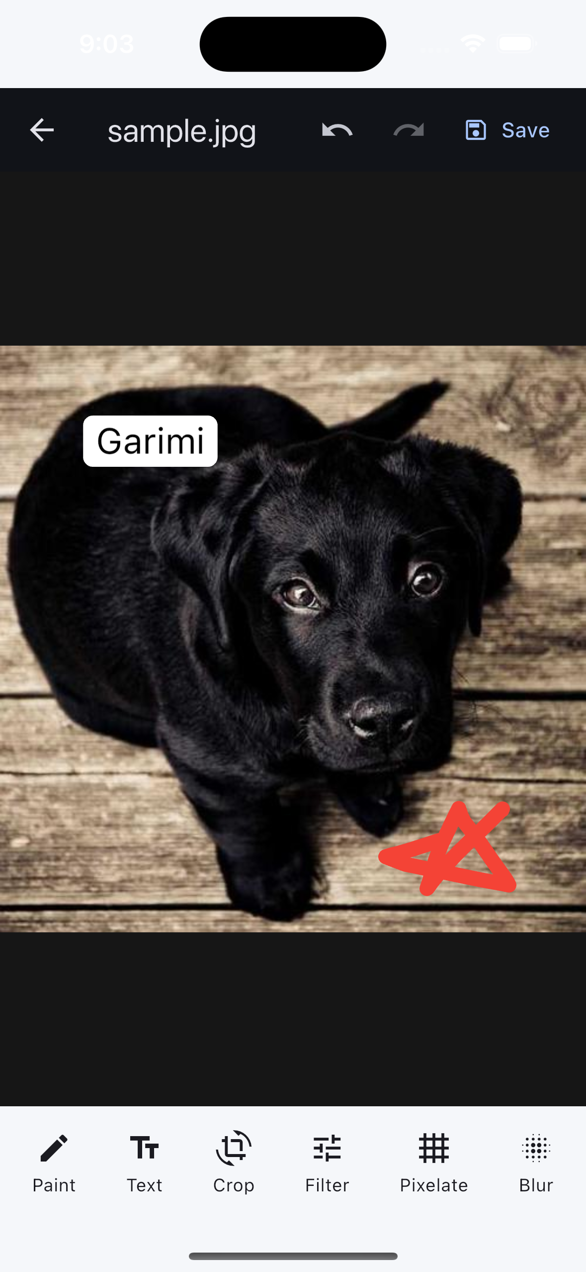 Screenshot 3 of Garimi